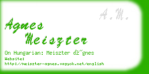 agnes meiszter business card